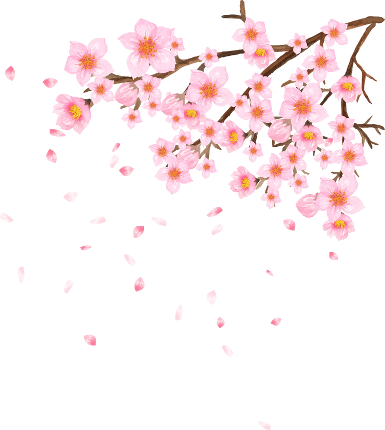 Elegant Cherry Blossom Watercolor Floral With Petals