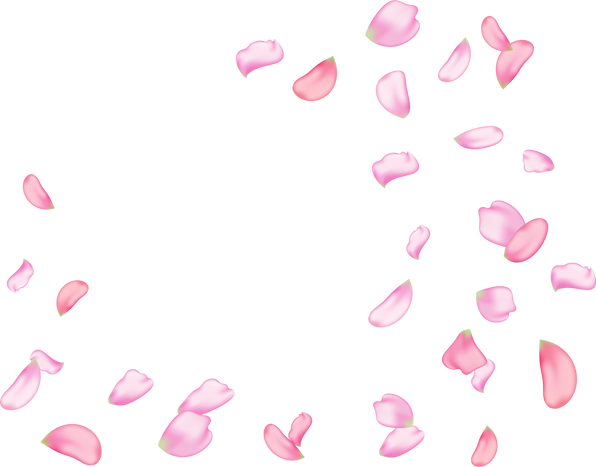 Flying Sakura Petals