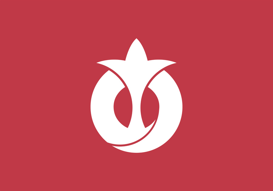 Flag of Aichi Prefecture, Japan Illustration