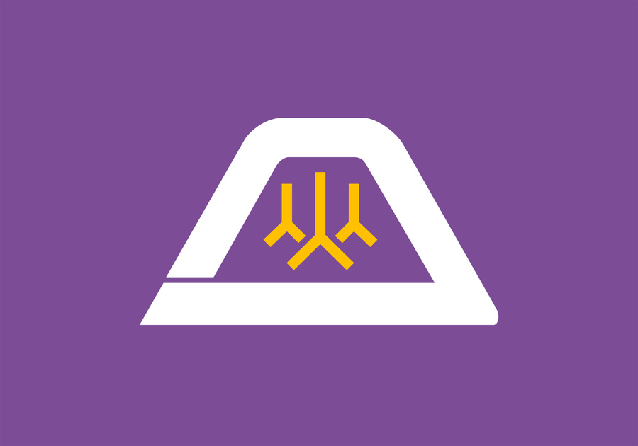 Yamanashi, Japan Prefecture Flag